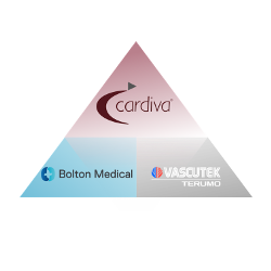 CARDIVA: Ahora distribuidor en España de Bolton Medical