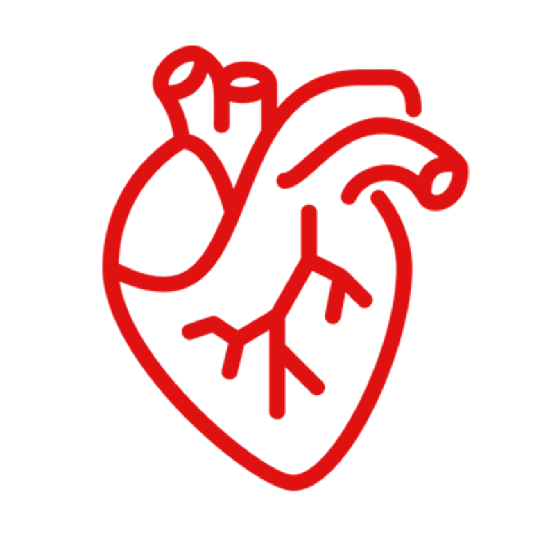 Cardíaca, Vascular y Endovascular - Cardiva