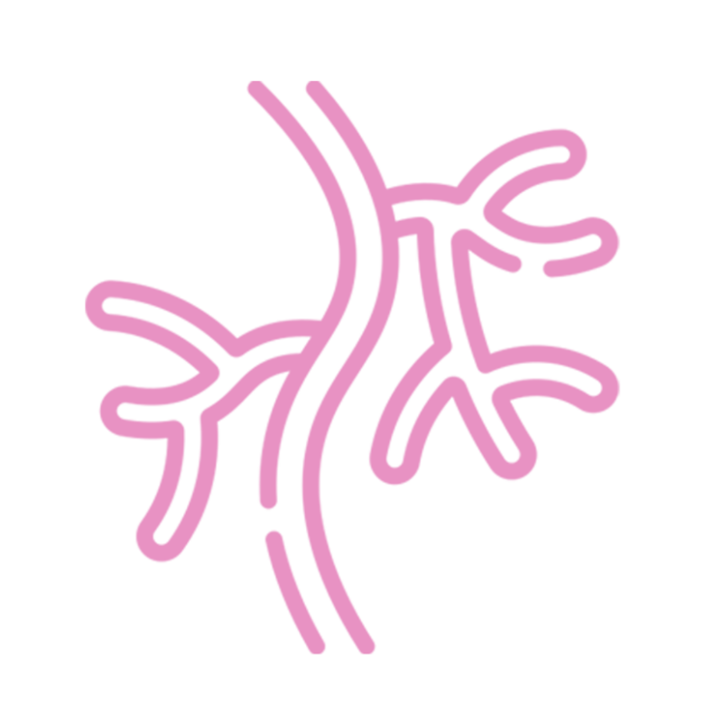 Cardíaca, Vascular y Endovascular - Cardiva