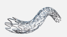 Stent Co-Cr Liberador de Sirolimus