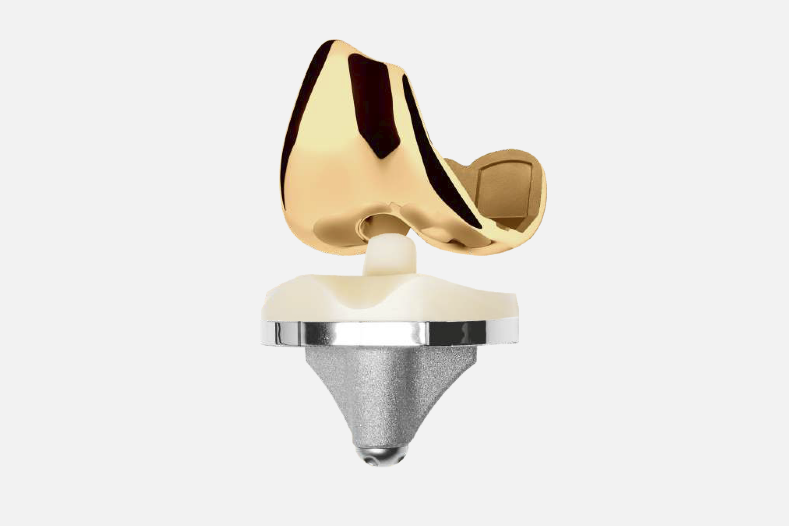 COMPONENTES FEMORALES PS – CR