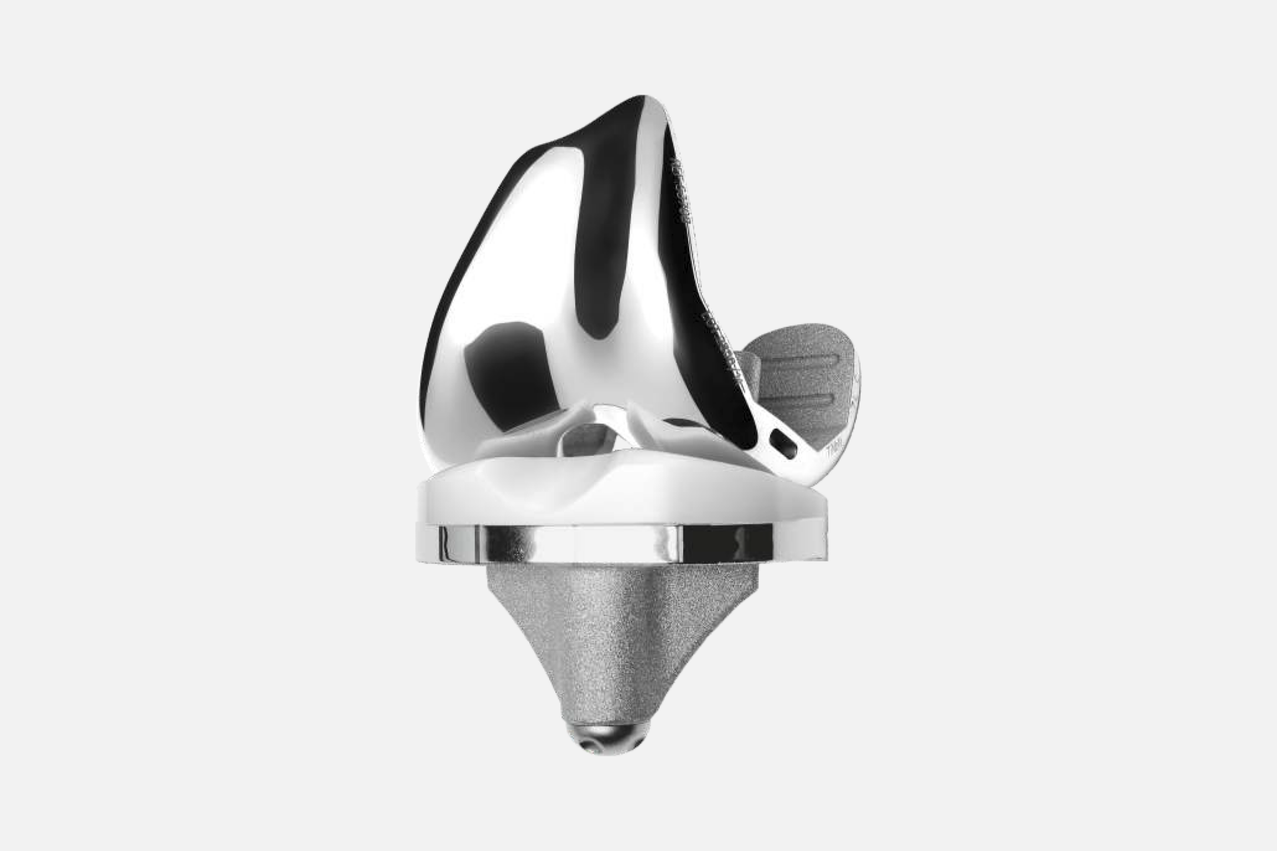 COMPONENTES FEMORALES PS – CR - Imagen 2