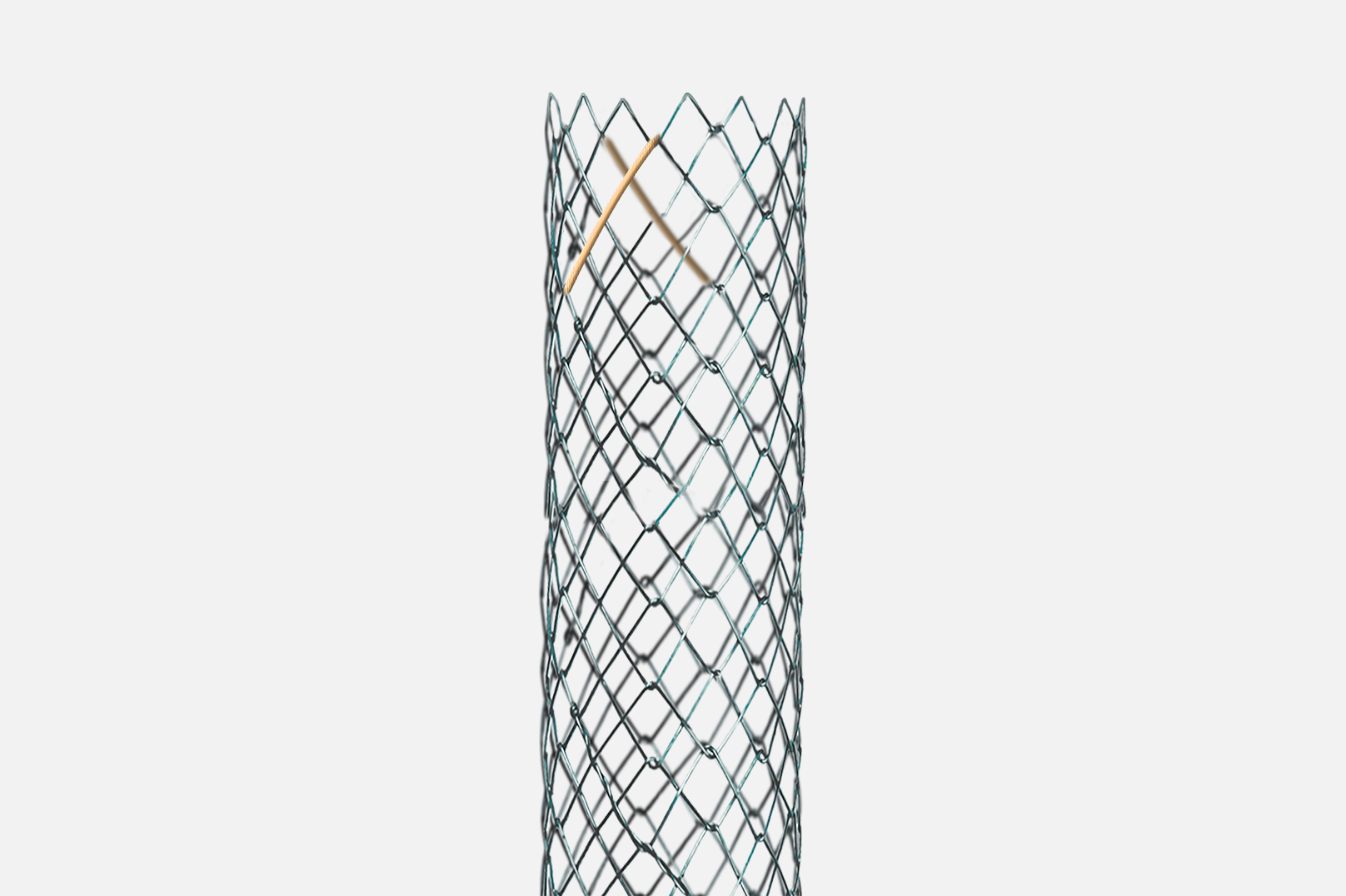 Stents biliares - Imagen 2