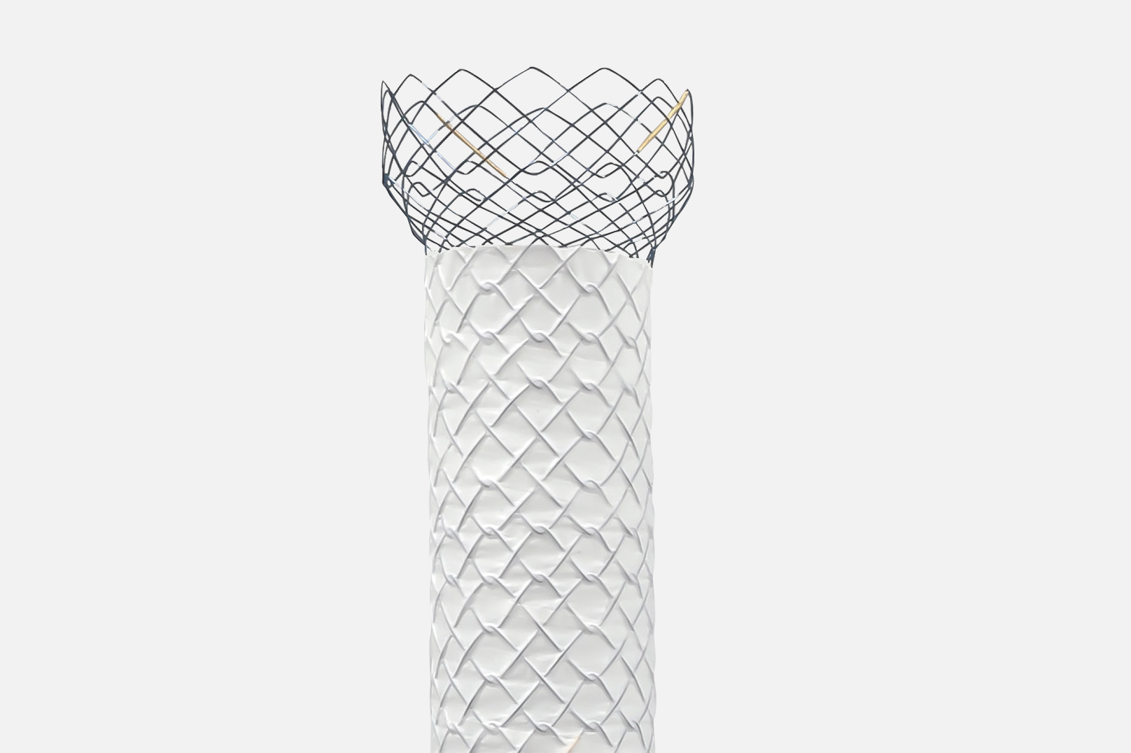 Stents colónicos